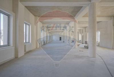 COMISION 0 | Hala moderna si incalzita | curte betonata | 2 niveluri | - 5