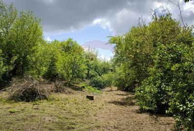 Teren de 3269 mp, în Slimnic - 10