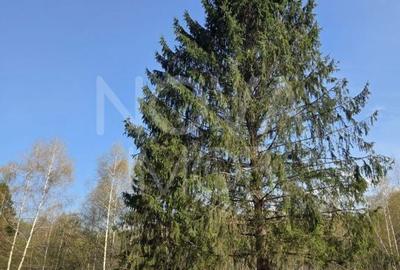 Spațiu comercial, în Viștișoara - 2