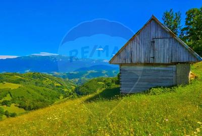COMISION 0% Teren 10,594mp Pestera /Intravilan - 9