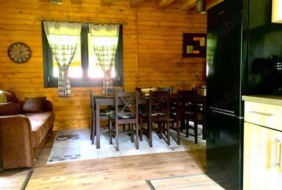 Casa din grinzi pe marginea paraului Borzont - 2