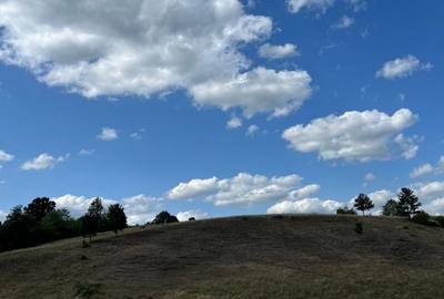 Casă cu 2 camere în Pătârș - 1