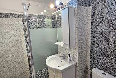 Apartament cu 2 camere decomandat, mobilat în Dristor - 13