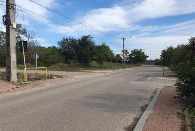 Teren intravilan 4140 mp, Panciu-Satu Nou - 3