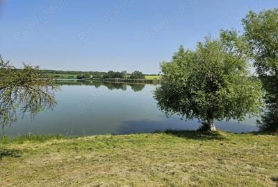 Teren de 9400 mp, în Gruiu - 1