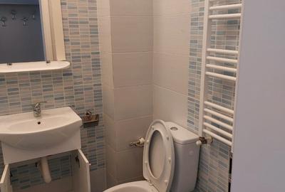Apartament 3 camere Palas - Sf. Lazar - 9