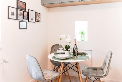 Garsonieră decomandată, mobilată în P-ța Unirii - 11