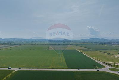 Teren industrial de vanzare - DN13, Brasov - 2
