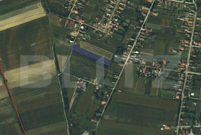 Teren de 3200 mp, în Lazuri - 1