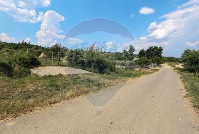 Teren cu priveliste Vulcan - 10