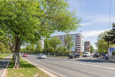 Spatiu comercial 101mp, Bd.Metalurgiei, vizavi de parcul Tudor Arghezi - 9