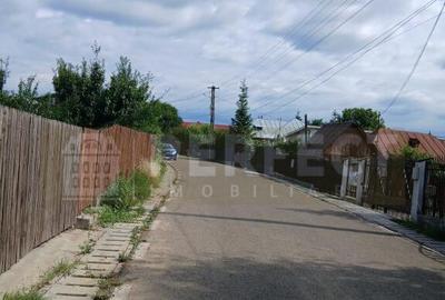 Teren 5590 mp INTRAVILAN Baicoi pret 17 euro/mp - 5