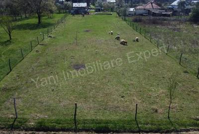 Teren de 2508 mp, în Argeșani