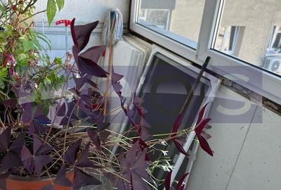 Apartament cu 3 camere decomandat în Nicolae Grigorescu - 8