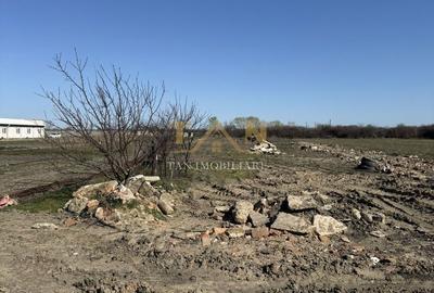 Teren de 500 mp, în Sânmihaiu Român