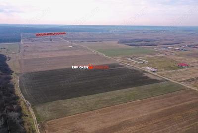 5 PARCELE PENTRU CASA | ZONA REZIDENTIALA I DEZVOLTARE | CIHEI - 2