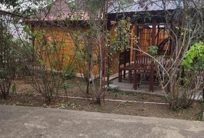 CASA SUPERBA 4 CAMERE ZONA VALU LUI TRAIAN 933MP - 30