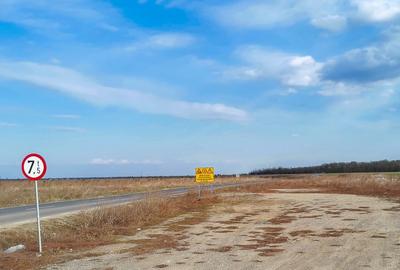 Ilfov, Cernica, Posta, teren intravilan la asfalt si statie autobuz - 5