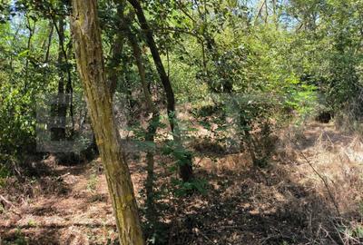 Teren 3000 mp - 1200 mp intravilan, zona Cuparu - 5