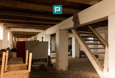 Hală industrială cu teren generos în Zărand, Arad - 23