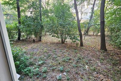 Apartament 2 camere, confort 2, parter – zona Malu Roșu - 10