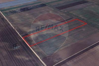 Teren de 6500 mp, în Hărman - 5