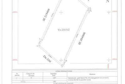 Teren Construcții intravilan de 1247 mp, în Palazu Mare - 4