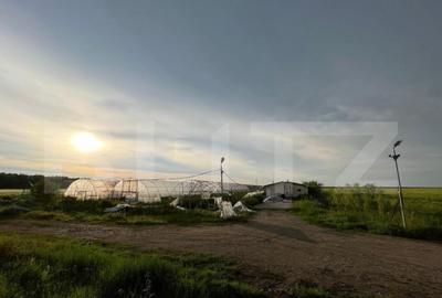 Teren par?ial intravilan 23.500 mp, apa, curent ?i suprav - 10