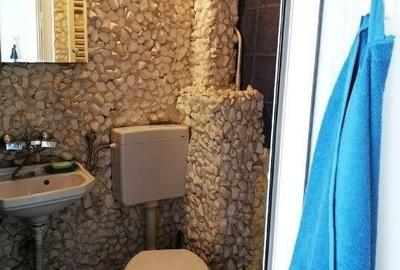 Inchiriere Garsoniera Cu Boiler Electric in zona Cismigiu - 7