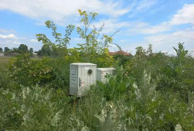 Teren 350 MP Intravilan Deschidere 16MP Vidra - 2