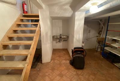 Casă individuală cu 6 camere cu Canalizare în Iancului - 9