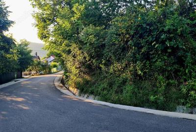 Teren de 3250 mp, în Păușești - 5