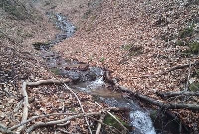 Spațiu comercial, în Poiana Mărului - 3