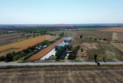 Teren Construcții intravilan de 8347 mp, în Exterior Est - 7