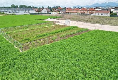 Teren Industrial - 7