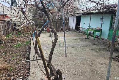 Casa batraneasca cu teren - 3