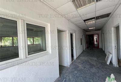 De inchiriat spatii comerciale, hale si birouri De inchiriat spatii comerciale, hale si birouri - 7