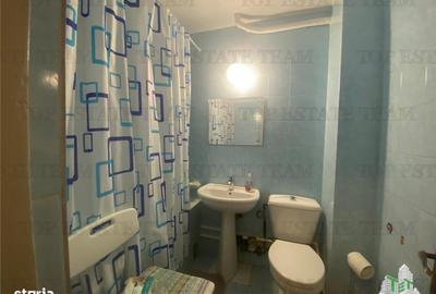 Apartament cu 3 camere decomandat în Abator - 12