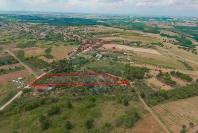 De vanzare Teren 3995mp intravilan Saldabagiu de Munte - 3