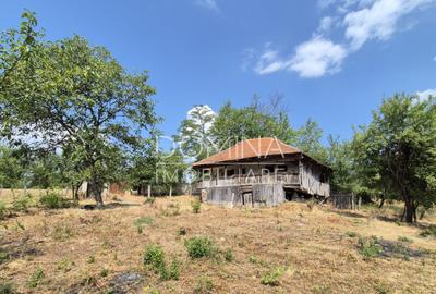 Proprietate in apropiere de complex turistic Mu?ete?ti - 7