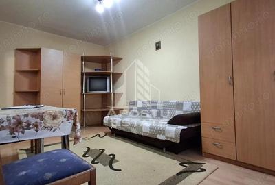 Garsonieră semidecomandată în Micălaca - 5