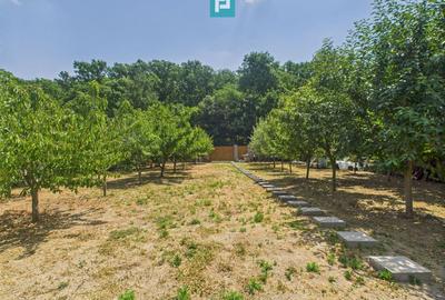 Teren Construcții intravilan de 1106 mp, în Dumbrăvița - 2