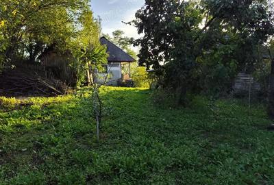 Casă cu 2 camere cu Teren 2357 Mp în Pietrari - 2