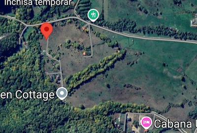 Vanzare 1266 mp teren superb Cheile Rasnoavei la munte langa padure si pensiuni - 8