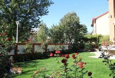 Casă cu 6 camere în Aluniș - 7