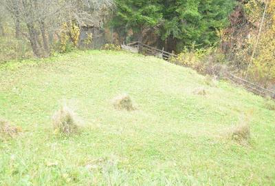 Busteni-Teren intravilan situat in Valea Alba in apropiere de partie - 1