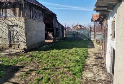 Casă cu 3 camere cu Teren 1013 Mp în Bogei - 1