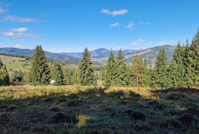 Teren Construcții intravilan de 9908 mp, în Dorna-Arini - 1