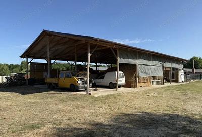 Catun Ferma autorizata Tip A pentru cresterea porcilor - IMOBIHOR - 6