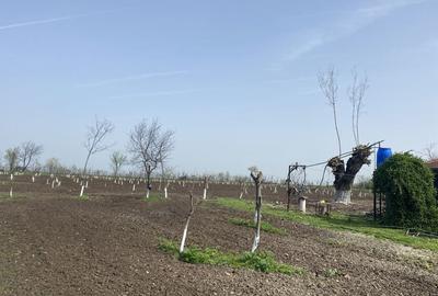 Casă cu 3 camere în Răsuceni - 3